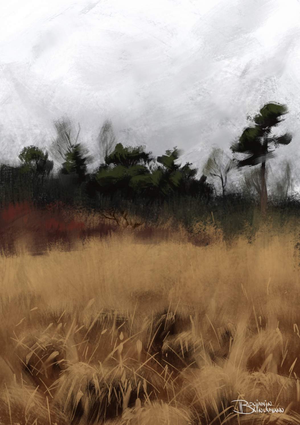 Dutch landscape: pijpestrootje